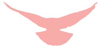 1698227529686347